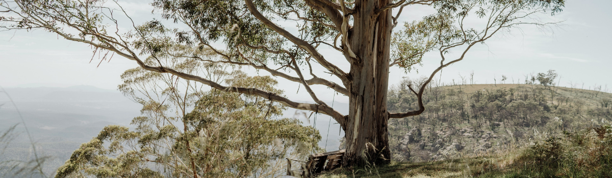 GMCU welcomes new CEO to the Goulburn Murray region