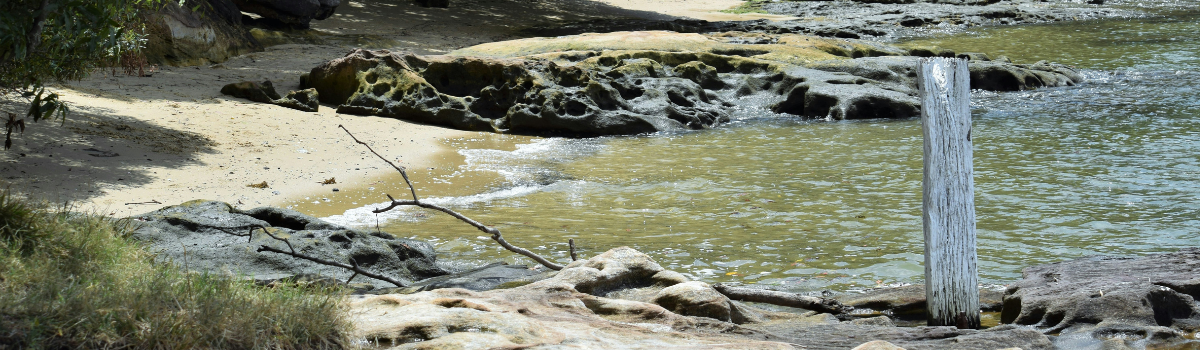 Call for Nominations