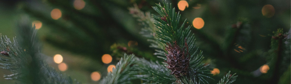 Keeping you and your money safe: Online Shopping