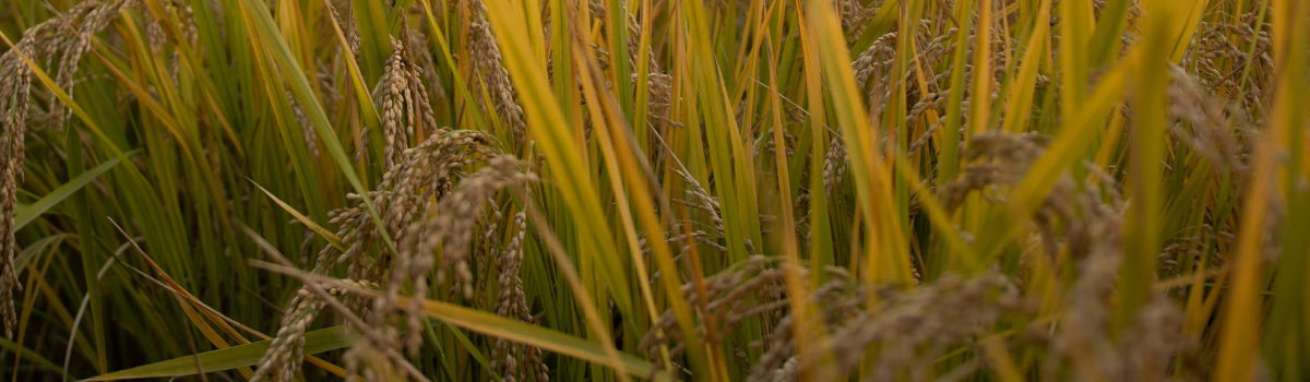 Changes to Interest Rates - February 2026